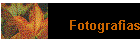 Fotografias