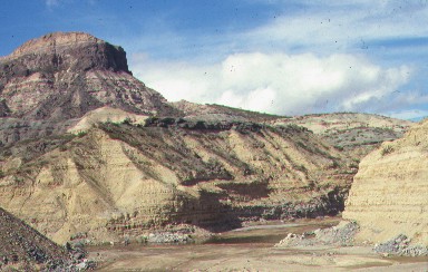 Fm. San Gregorio