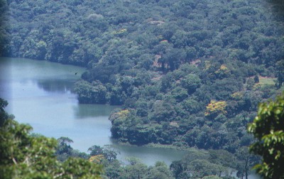 Estacin de Biologa Los Tuxtlas