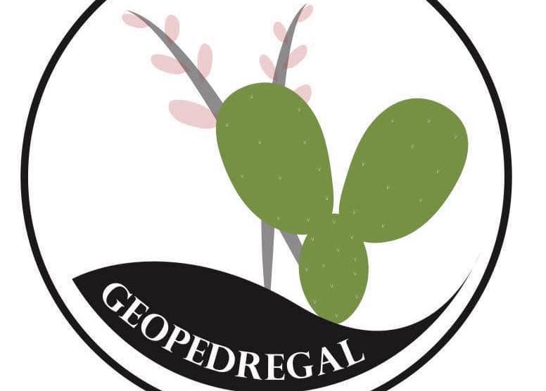 Conoce más del Geopedregal