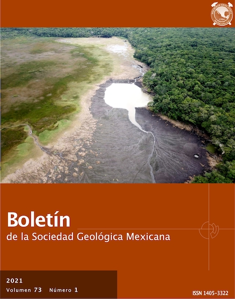 Boletin del instituto de geologia