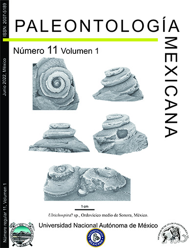 Paleontología Mexicana