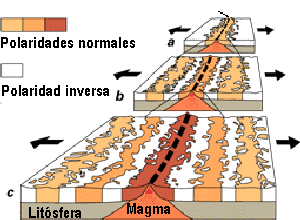 La Teoría de Tectónica de Placas y la Deriva - Instituto de Geología - UNAM