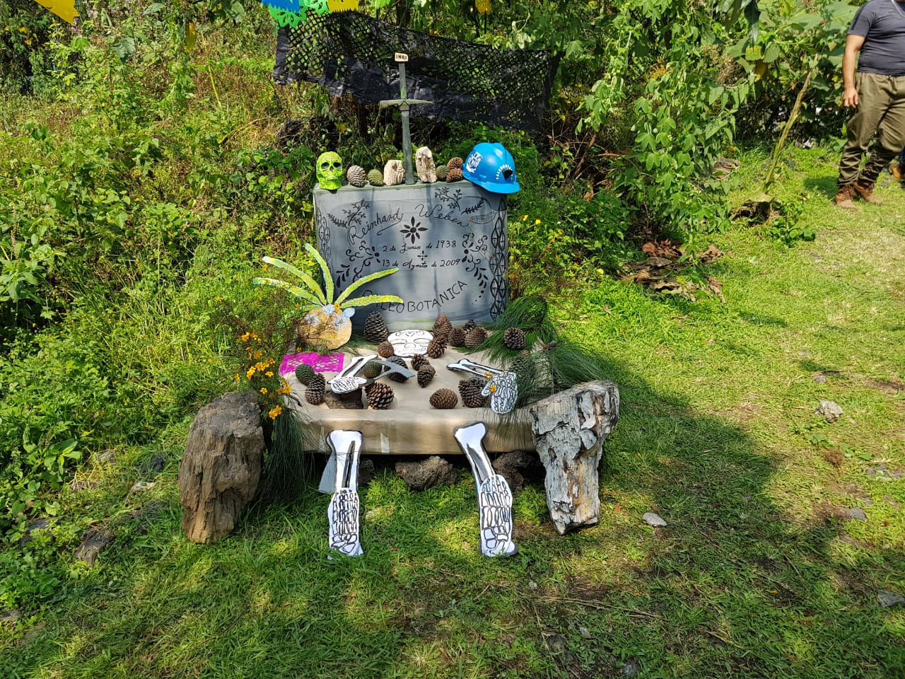 Día de muertos en el Instituto de Geología