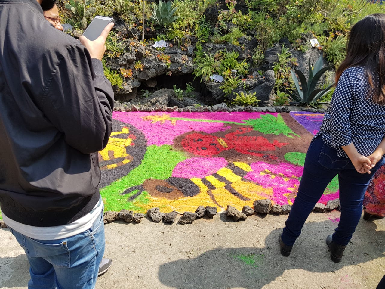 Día de muertos en el Instituto de Geología