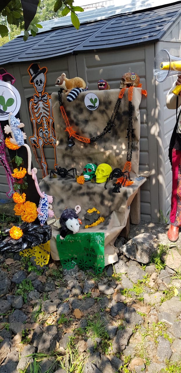 Día de muertos en el Instituto de Geología