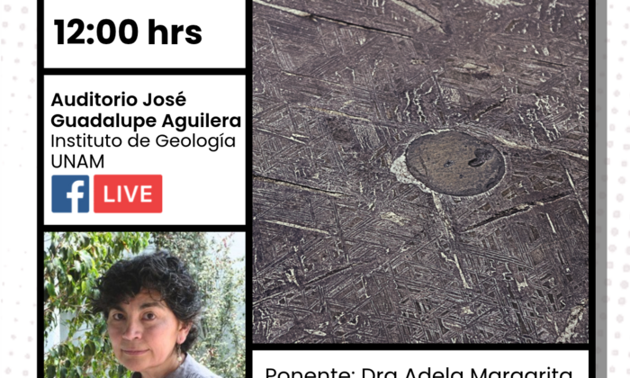 Meteoritas: sus minerales y petrología. Comentarios sobre la Colección Nacional de Meteoritas Mexicanas