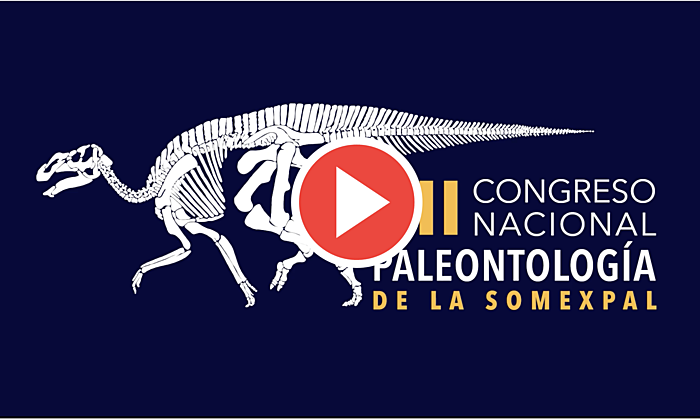 Excursión: reconocimiento de la estratigrafía y contenido paleontológico del Grupo Cabullona