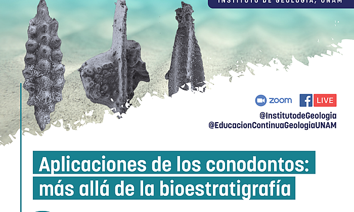 Seminario: Aplicaciones de los conodontos: más allá de la bioestratigrafía Ponente: Dra. Pilar Navas-Parejo, Estación Regional del Noroeste, UNAM